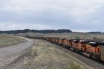 BNSF 8755/8466/6199/5965/9255/8893